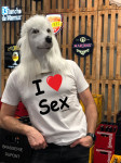 T-SHIRT I LOVE SEX (HOMME)